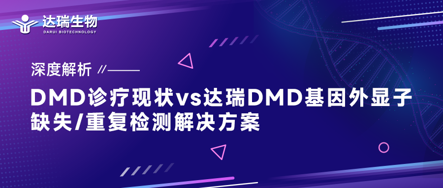 深度解析｜DMD診療現(xiàn)狀vs達(dá)瑞DMD基因外顯子缺失/重復(fù)檢測(cè)解決方案
